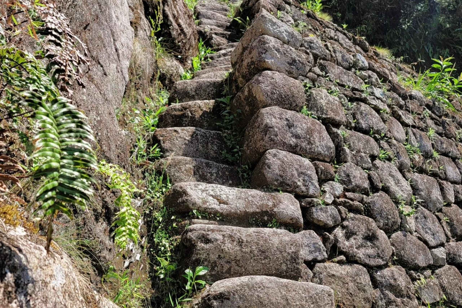 Inträdesbiljett till Huaynapicchu-berget 2026