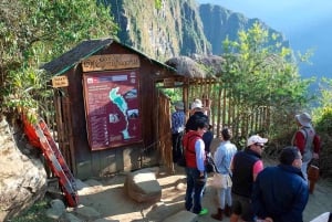 Bilet wstępu na górę Huaynapicchu 2026