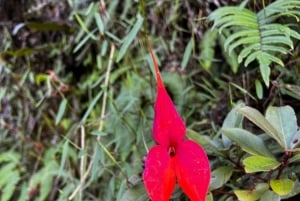 Inträdesbiljett till Huaynapicchu-berget 2026