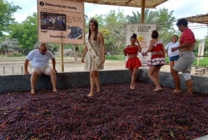 Ica und Huacachina: Weinverkostung, Pisco und Buggyfahrt durch die Dünen