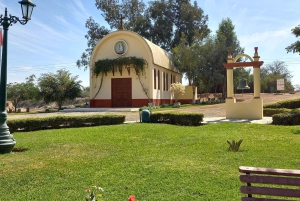 Ica und Huacachina: Weinverkostung, Pisco und Buggyfahrt durch die Dünen