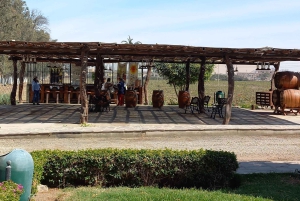 Ica and Huacachina: Wine, pisco, and buggy ride through the dunes