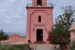 Ica and Huacachina: Wine, pisco, and buggy ride through the dunes