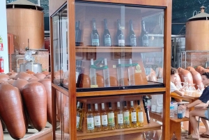 Ica and Huacachina: Wine, pisco, and buggy ride through the dunes