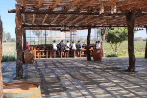 Ica and Huacachina: Wine, pisco and dune buggy ride experience