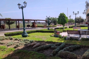 Ica and Huacachina: Wine, pisco and dune buggy ride experience