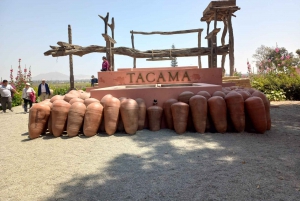 Ica and Huacachina: Wine, pisco and dune buggy ride experience