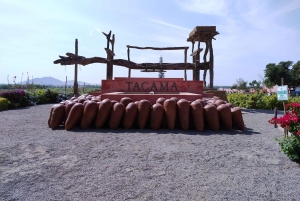 Ica and Huacachina: Wine, pisco and dune buggy ride experience