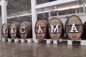 Ica and Huacachina: Wine, pisco and dune buggy ride experience