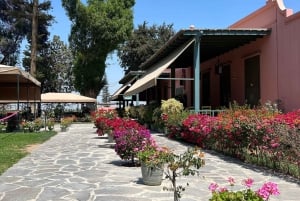 Ica and Huacachina: Wine, pisco and dune buggy ride experience