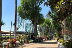 Ica and Huacachina: Wine, pisco and dune buggy ride experience