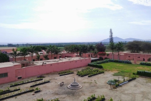 Ica and Huacachina: Wine, pisco and dune buggy ride experience
