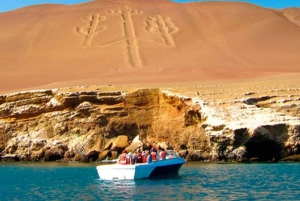 Desde Ica: Tour Islas Ballestas y Paracas - servicio compartido