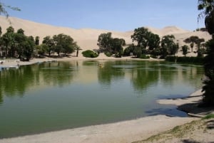 Ica: Transfer z dworca autobusowego do/z centrum miasta lub Huacachina