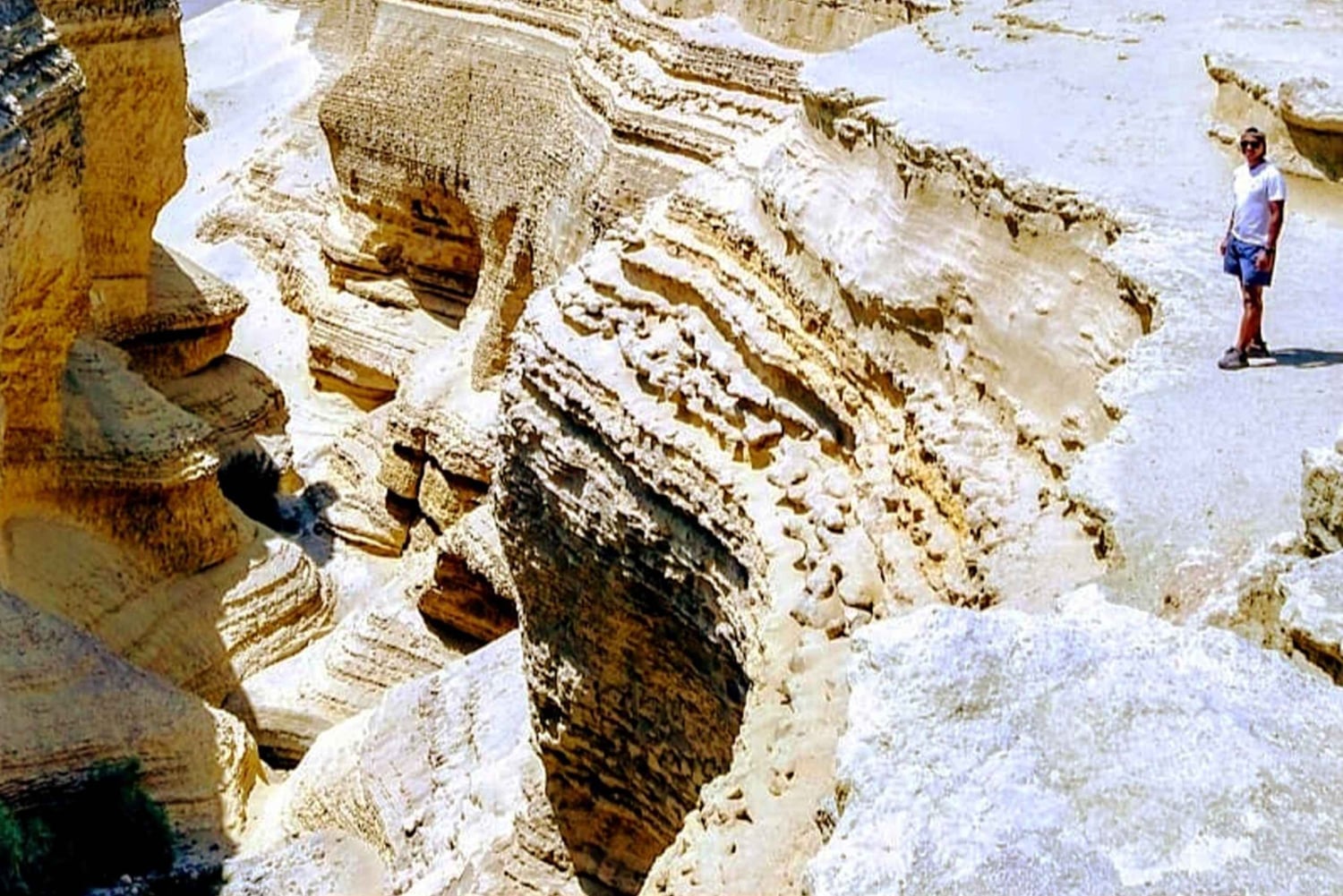 Ica: Canyon of the Lost Tour Ocucajen autiomaassa