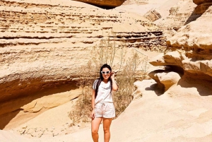 Ica: Canyon of the Lost Tour in Ocucaje Desert
