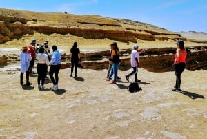 Ica: Canyon of the Lost Tour Ocucajen autiomaassa