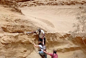 Ica: Canyon of the Lost Tour in Ocucaje Desert