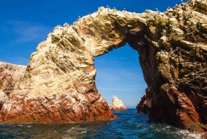 Ica: Excursion Ballestas Islands & Paracas National Reserve