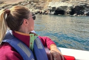 Ica: Full day to the Ballestas Islands and the Paracas National Reserve