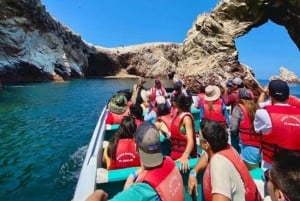 Ica: Full day to the Ballestas Islands and the Paracas National Reserve