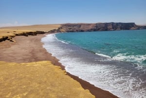 Ica: Full day to the Ballestas Islands and the Paracas National Reserve