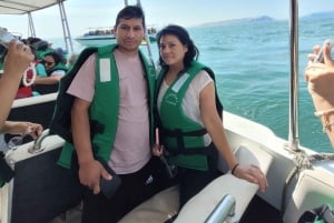 Ica: Full day to the Ballestas Islands and the Paracas National Reserve