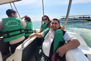 Ica: Full day to the Ballestas Islands and the Paracas National Reserve