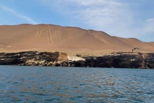 Ica: Full day to the Ballestas Islands and the Paracas National Reserve