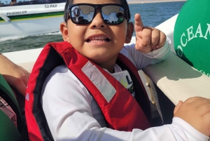 Ica: Full day to the Ballestas Islands and the Paracas National Reserve