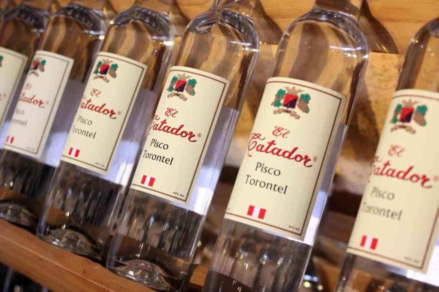 Ica | Huacachina: Vin- och Pisco-vingårdar | provsmakning