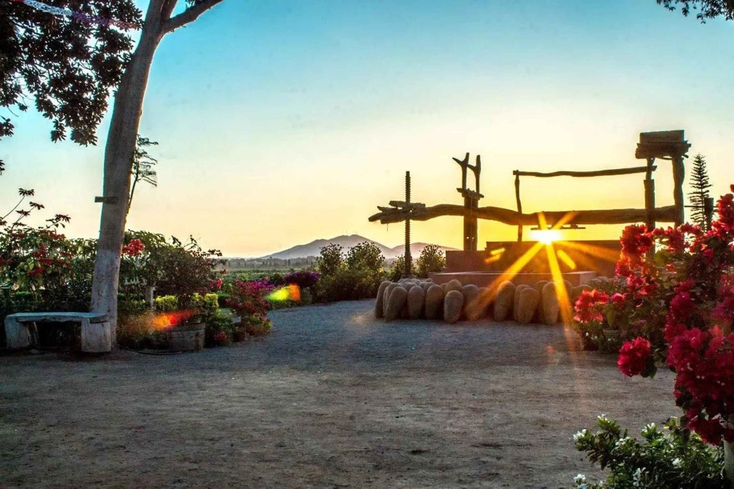 Ica | Huacachina: Vin- och Pisco-vingårdar | provsmakning