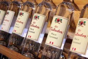 Ica | Huacachina: Vin- och Pisco-vingårdar | provsmakning