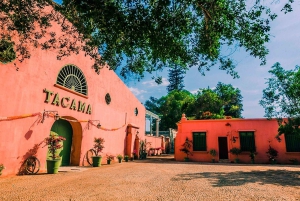 Ica | Huacachina: Vin- och Pisco-vingårdar | provsmakning