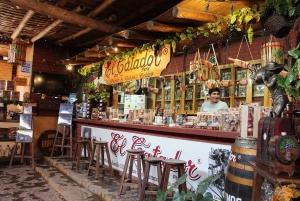 Ica | Huacachina: Vin- och Pisco-vingårdar | provsmakning