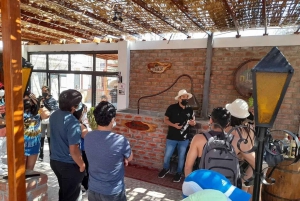 Ica | Huacachina: Vin- och Pisco-vingårdar | provsmakning