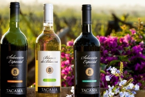 Ica: Ica Wine and Pisco Tour with Tastings