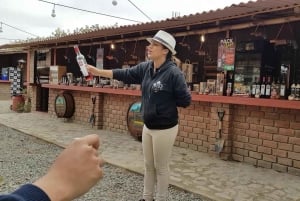 Ica: Ica Wine and Pisco Tour with Tastings