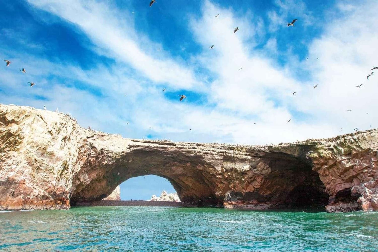 Ica-Paracas Tour: Islands, Reserve & Back