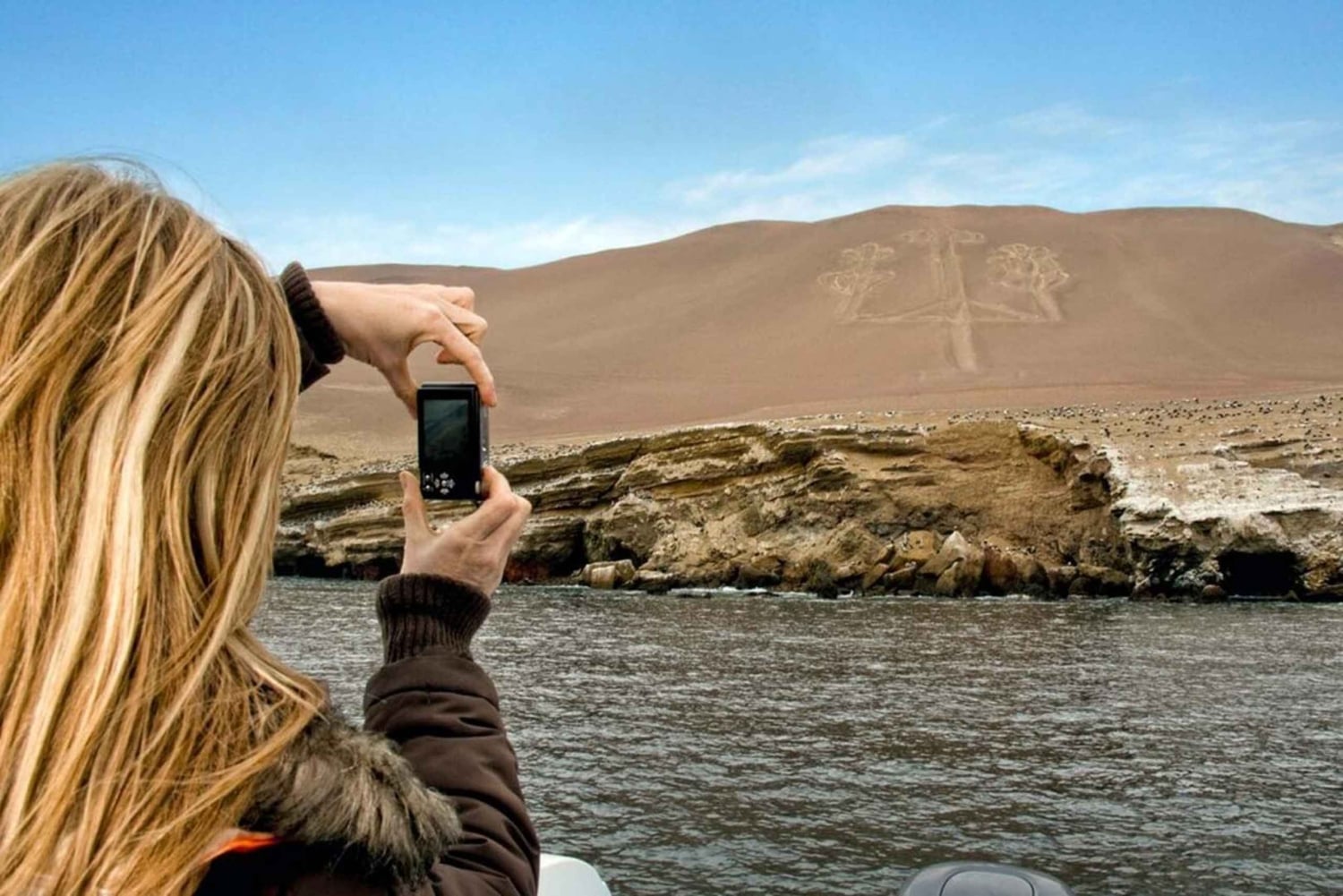 Ica-Paracas Tour: Islands, Reserve & Back