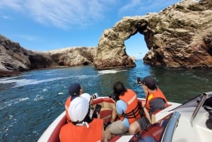 Tour di Ica-Paracas: isole, riserva e ritorno