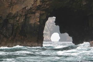 Tour di Ica-Paracas: isole, riserva e ritorno