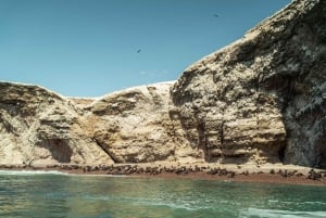 Ica-Paracas Tour: Islands, Reserve & Back