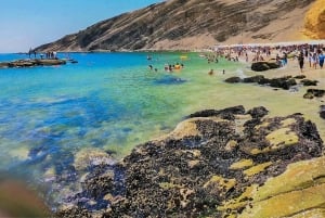 Ica-Paracas Tour: Islands, Reserve & Back