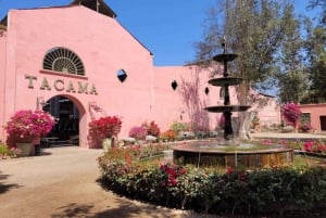 ICA: Strada del Pisco e del Vino con degustazione in 03 cantine