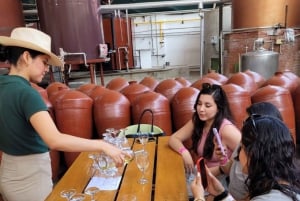 ICA: Strada del Pisco e del Vino con degustazione in 03 cantine