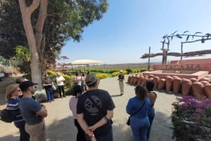 ICA: Strada del Pisco e del Vino con degustazione in 03 cantine