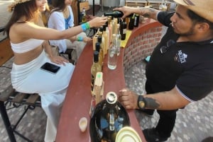 ICA: Strada del Pisco e del Vino con degustazione in 03 cantine