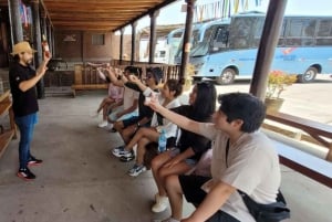 ICA: Strada del Pisco e del Vino con degustazione in 03 cantine