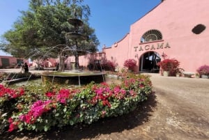 ICA: Strada del Pisco e del Vino con degustazione in 03 cantine